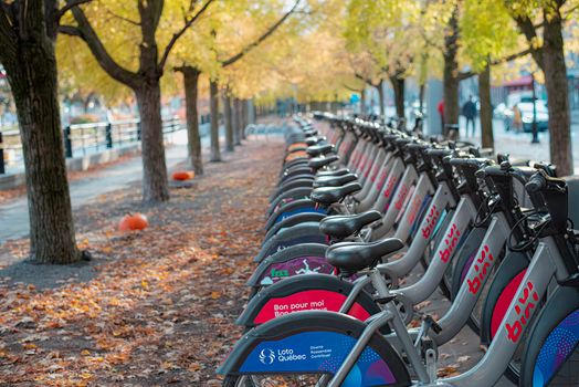 Bixi bikes lined up under autumn trees in a Montreal park setting.