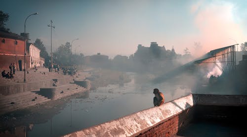 Brown Monkey Sitting on Roof