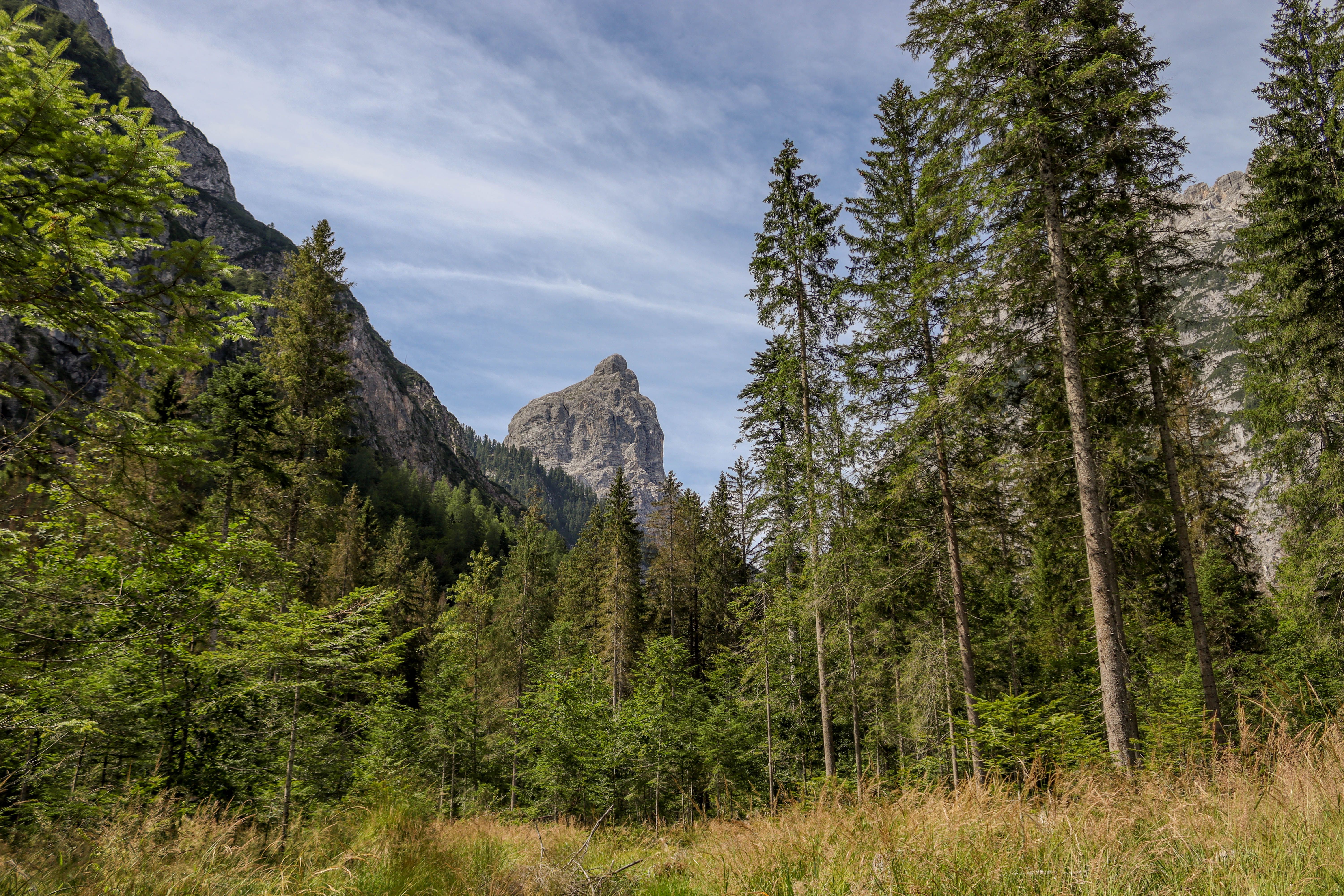 Majestic Mountain View in Lush Forest · Free Stock Photo