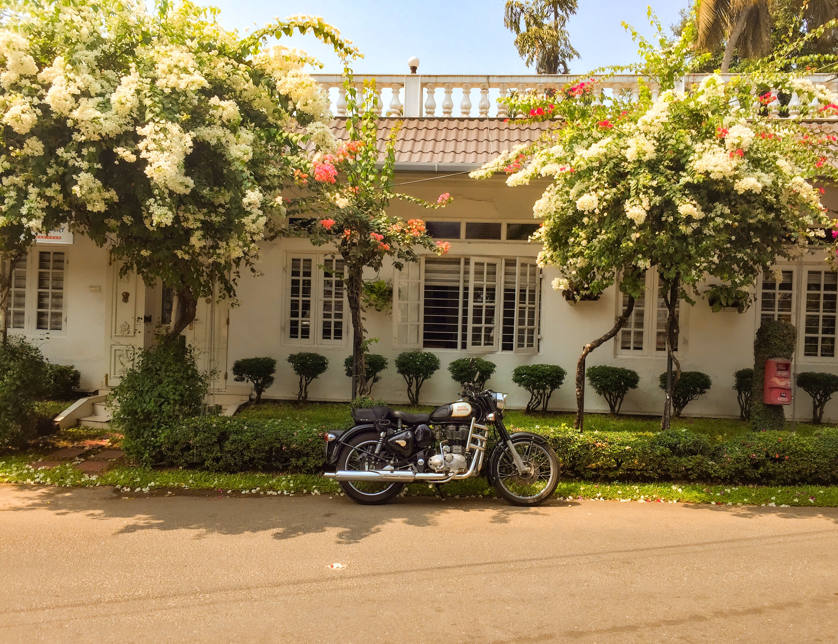 Vamshi Tours & Travels