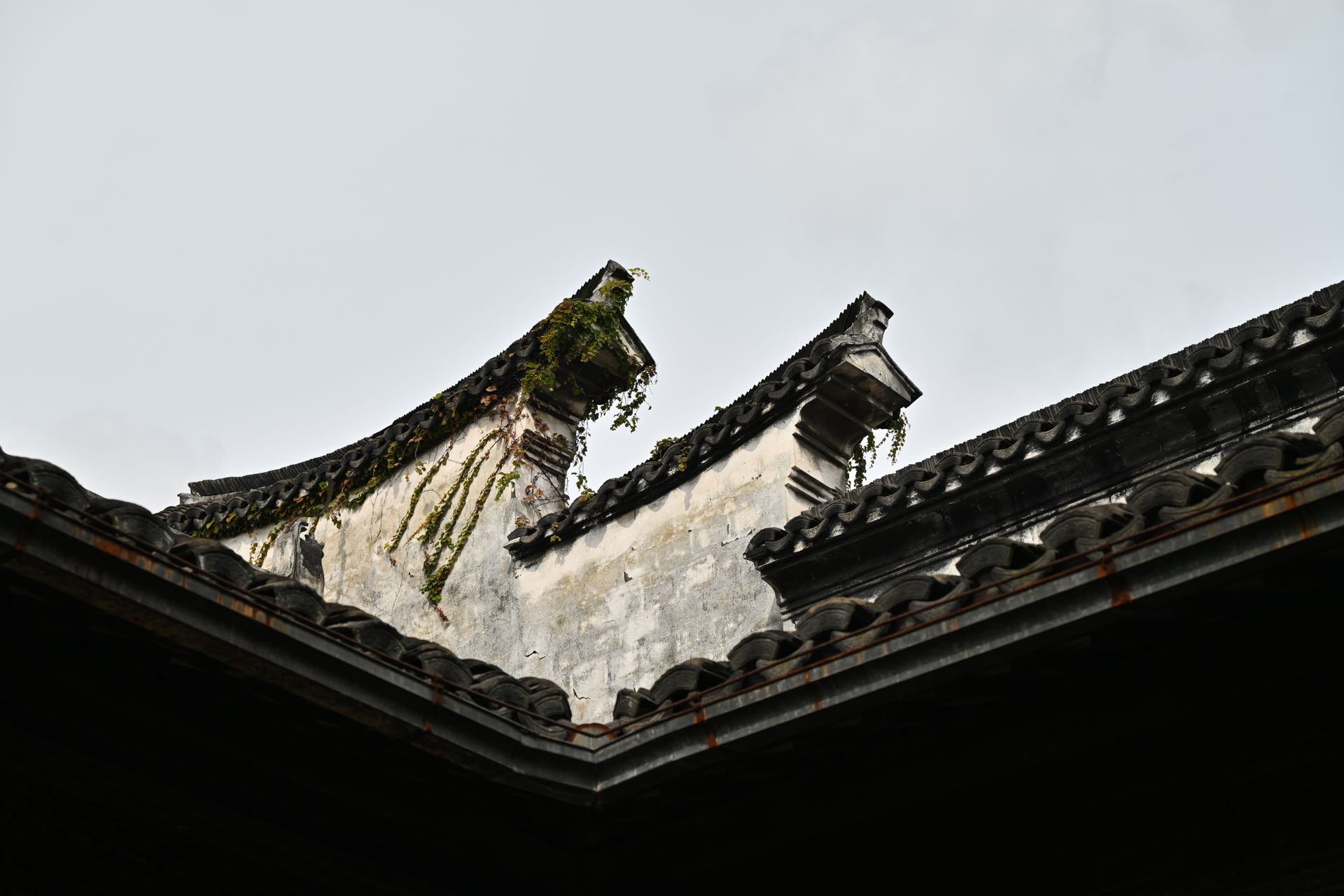 Elegant traditional Chinese architecture roof detail featuring intricate designs and ivy growth.