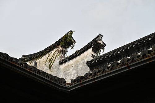 Free Elegant traditional Chinese architecture roof detail featuring intricate designs and ivy growth. Stock Photo