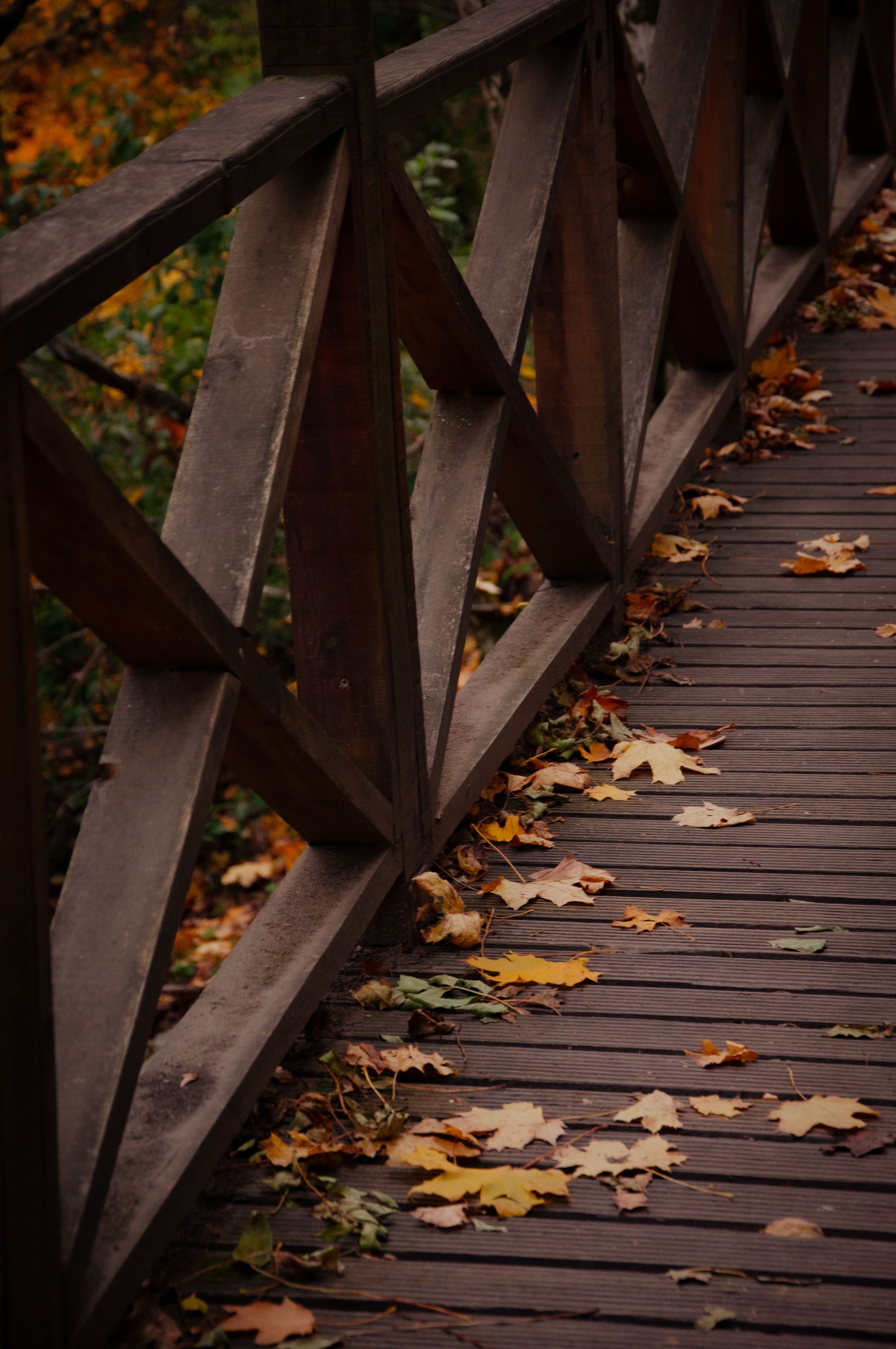 Autumn Leaves on Rustic Wooden Bridge Path · Free Stock Photo