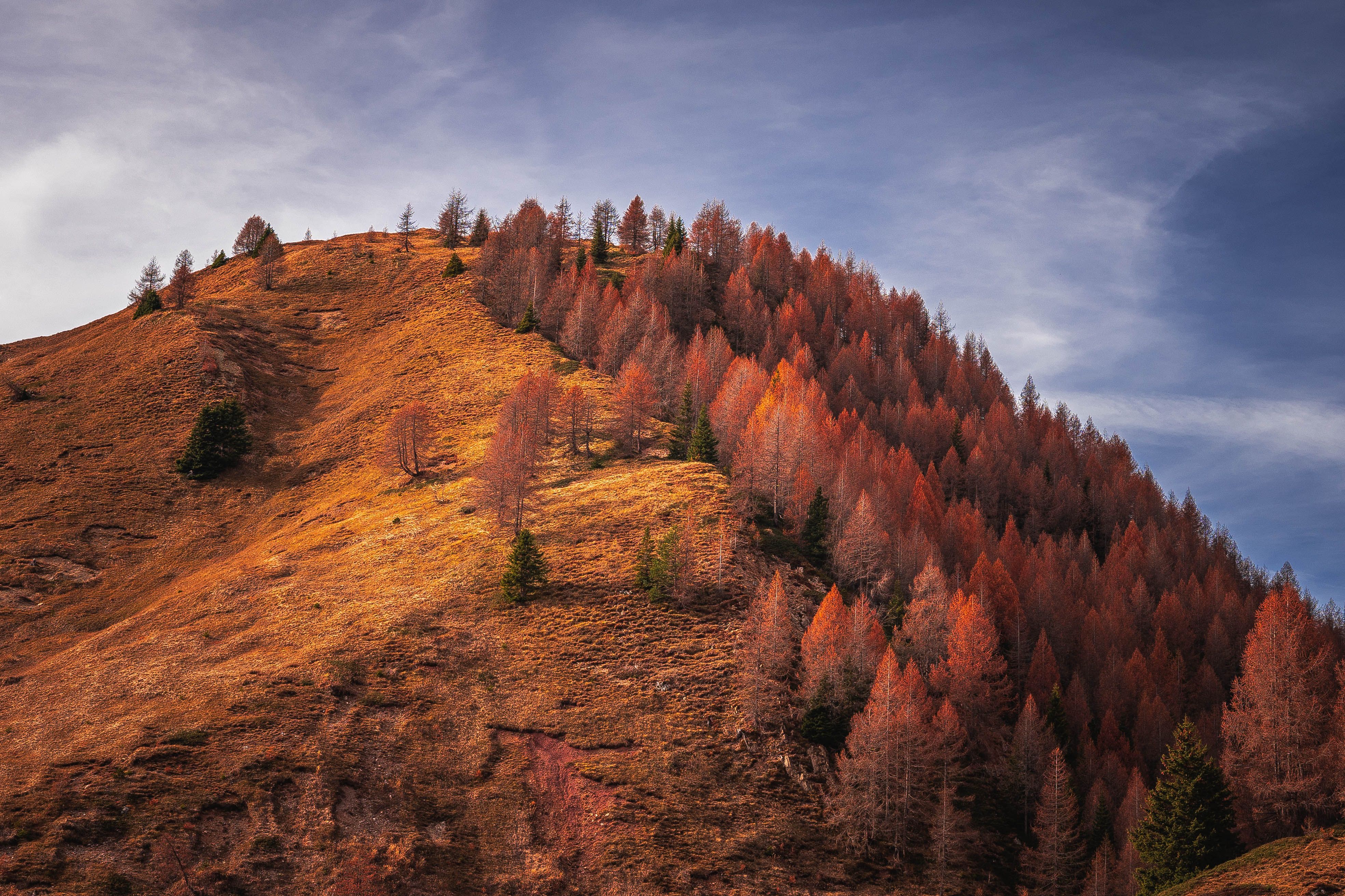 Scenic Autumn Landscape with Colorful Trees · Free Stock Photo