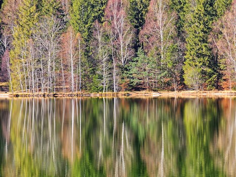 Sainte Anne, Guadeloupe photo 21