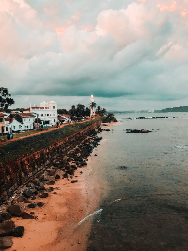 South Sri Lanka in January: What to Expect (2026)