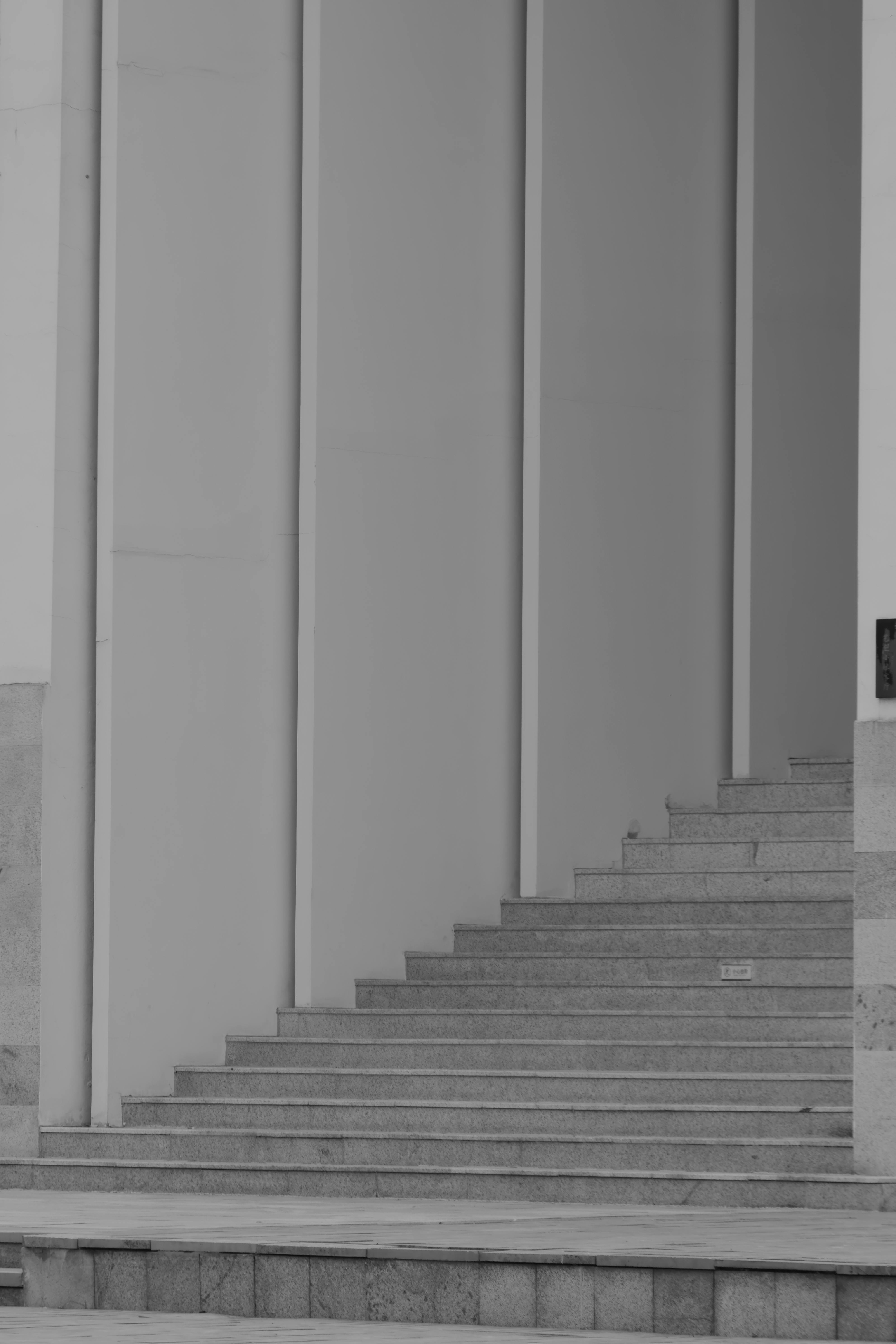 Zadarmo Čiernobiely obraz jednoduchého elegantného schodiska s čistými architektonickými líniami. Fotka z fotobanky