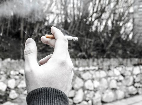 Free stock photo of person, hand, trees, addiction