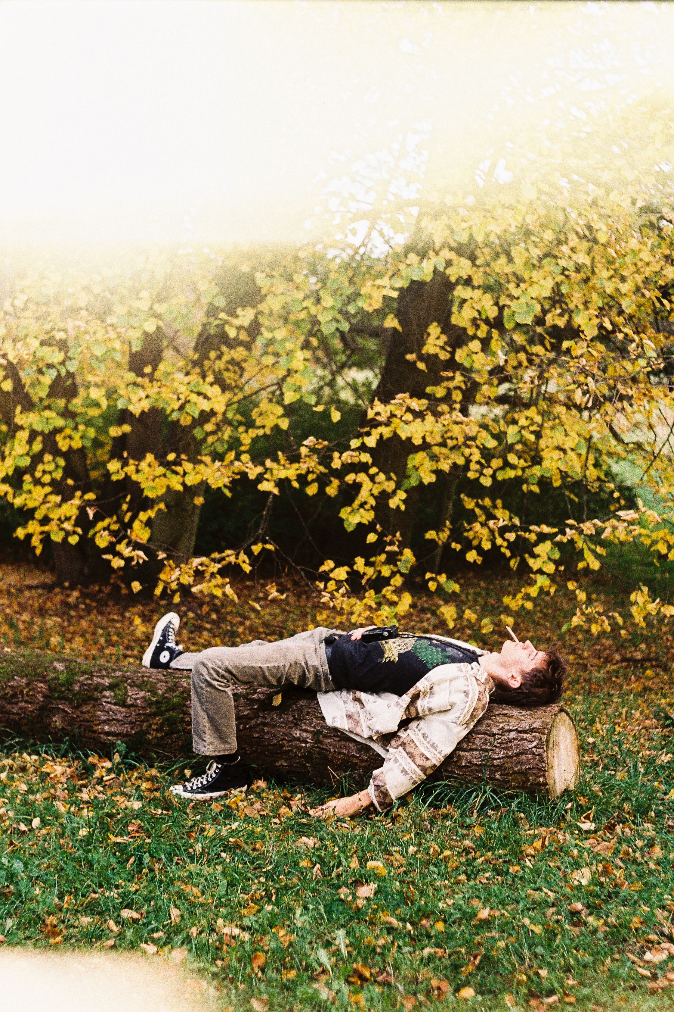 Young Man Relaxing on Fallen Log in Autumn Park · Free Stock Photo
