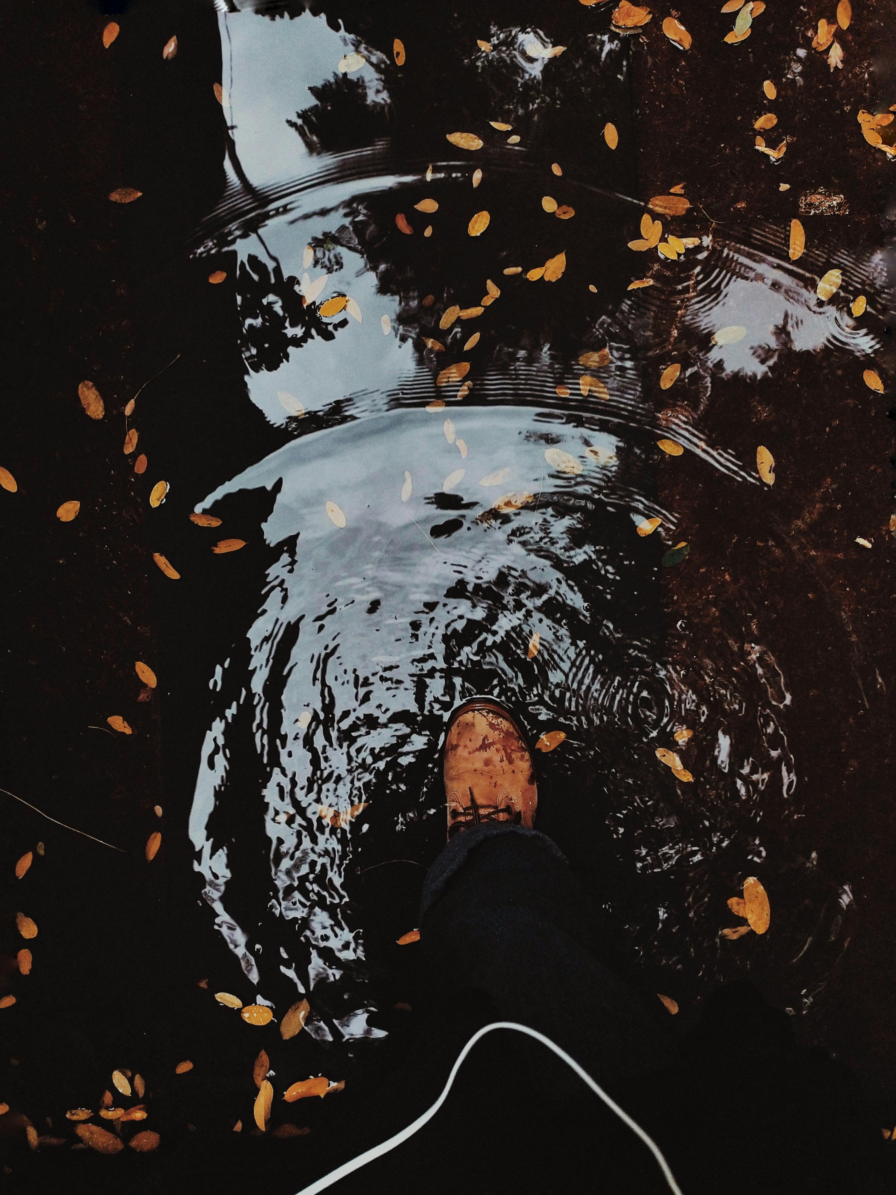 A lone boot steps into a reflective puddle surrounded by fallen autumn leaves.