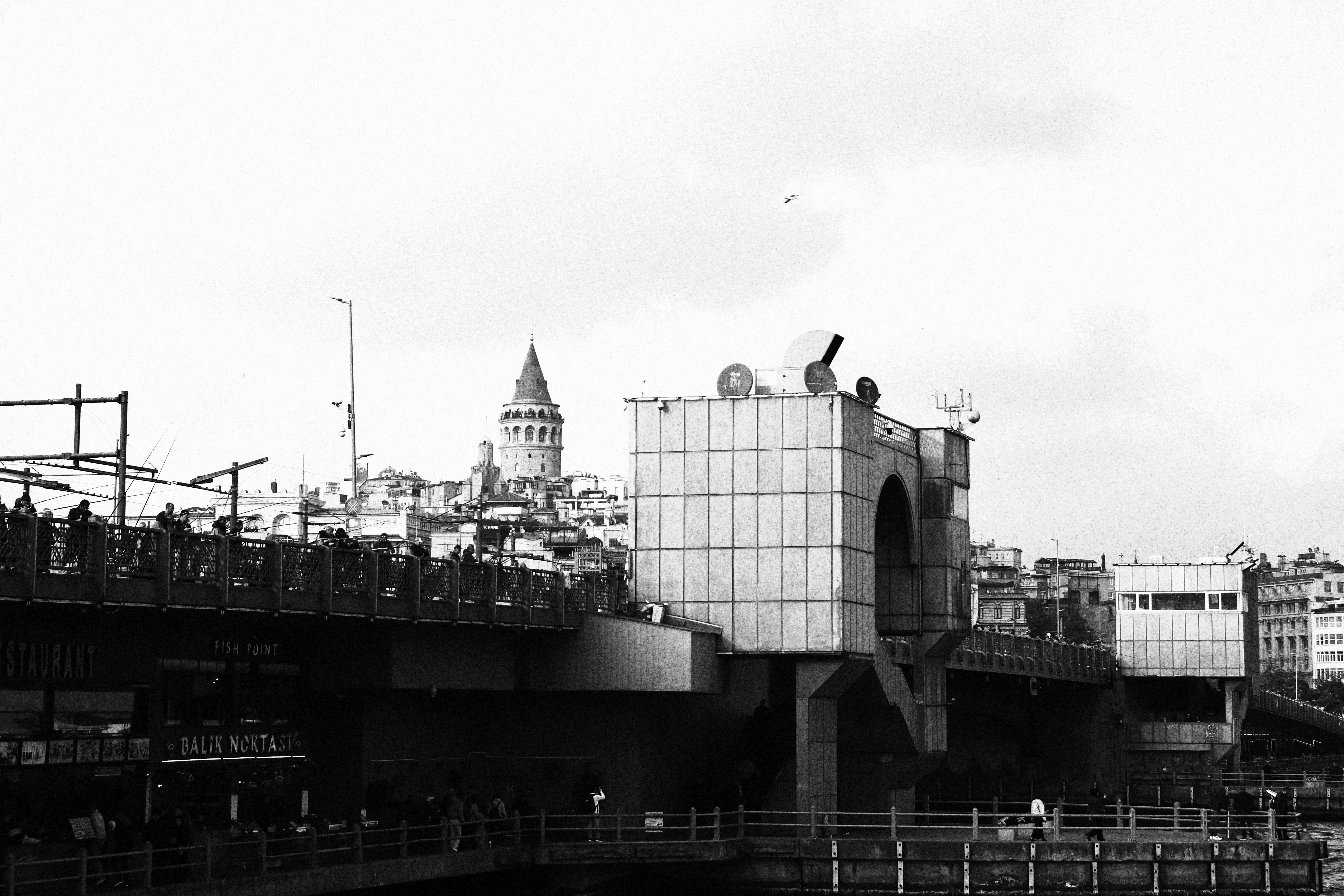grátis Vista em preto e branco do horizonte de Istambul, com a icônica Torre de Gálata. Foto profissional