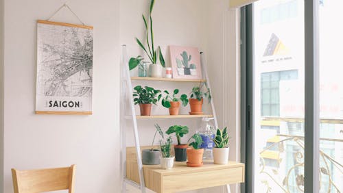 Flower Pots on Brown Wooden Table Near Glass Wall