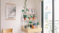 客房明亮，配有现代装饰、盆栽植物和西贡地图