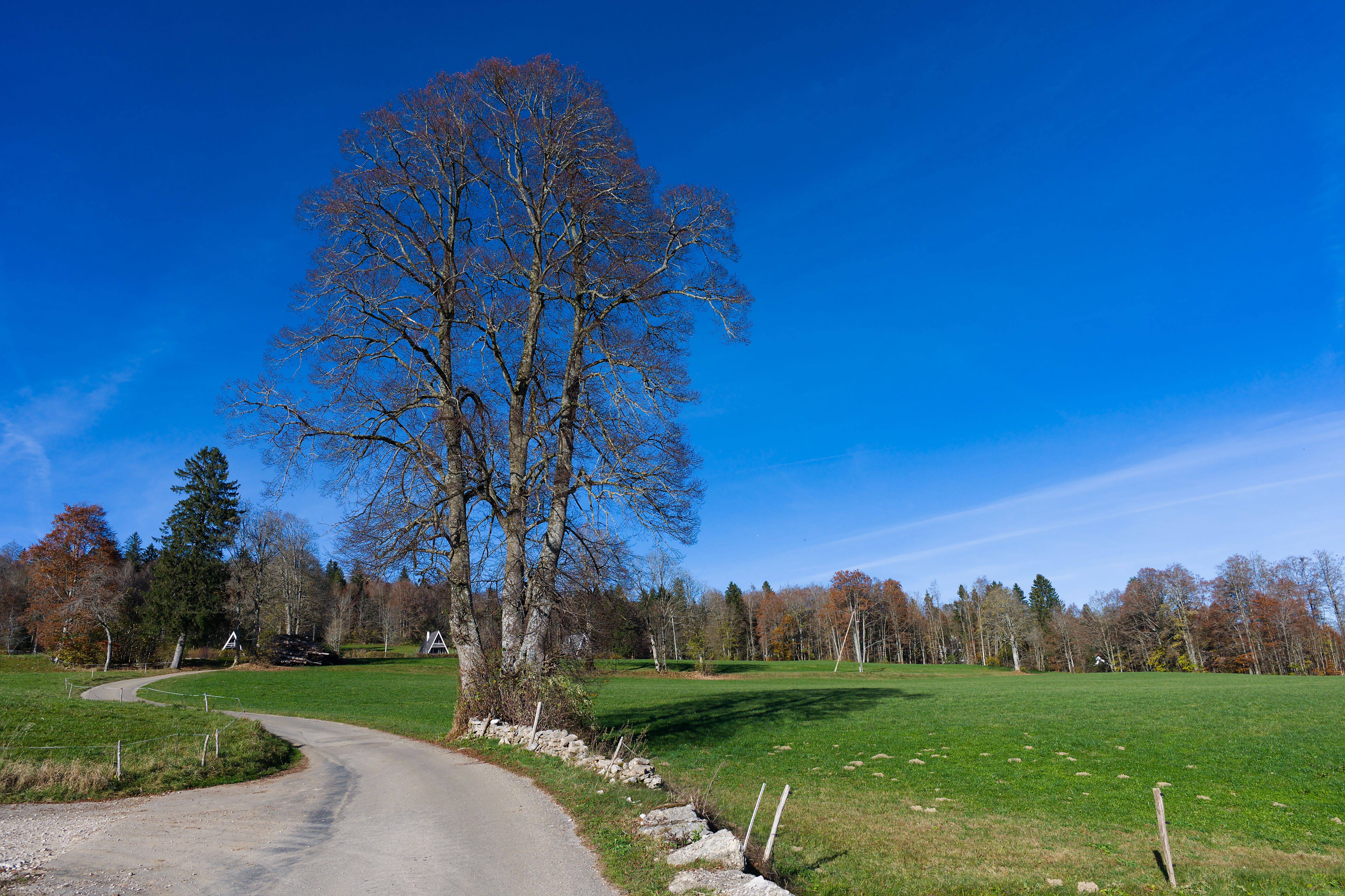 K36 SG Neckiweg: Abschnitt Oberhelfenschwil - Mogelsberg Oberhelfenschwil - Mogelsberg