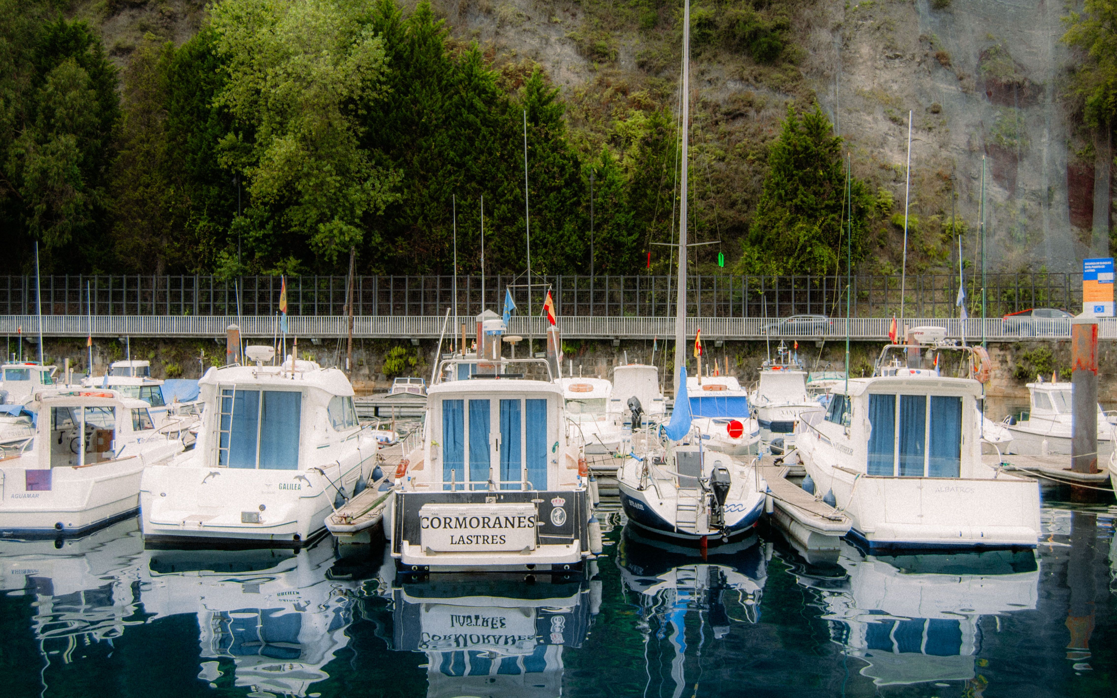 View of boats docked in Lastres Marina, Asturias, surrounded by lush greenery and rocky cliffs. - Asturias