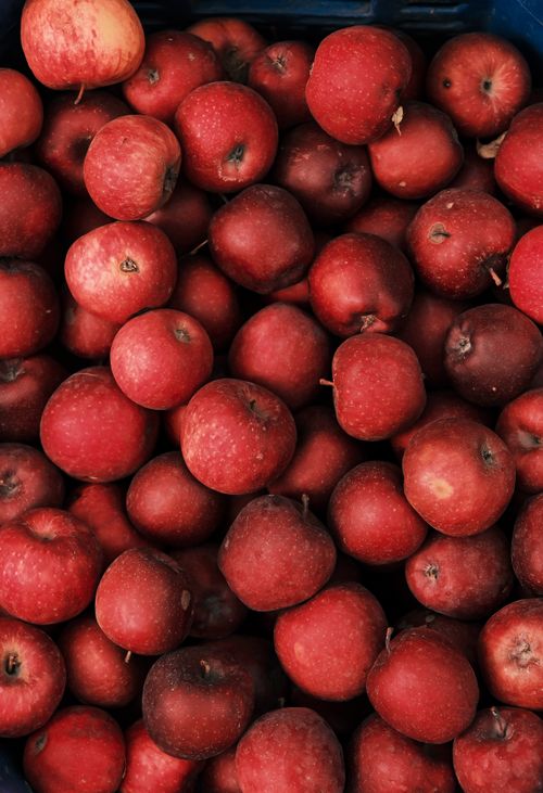 Free A top-down view of a crate full of fresh red apples, ideal for harvest and fruit-themed projects. Stock Photo