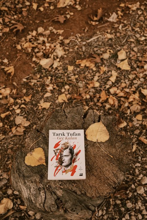 Free Book on a tree stump surrounded by autumn leaves in a natural setting. Stock Photo