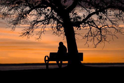 Free A peaceful silhouette of a person sitting on a bench under a tree during sunrise at Cove Island Park, Stamford. Stock Photo