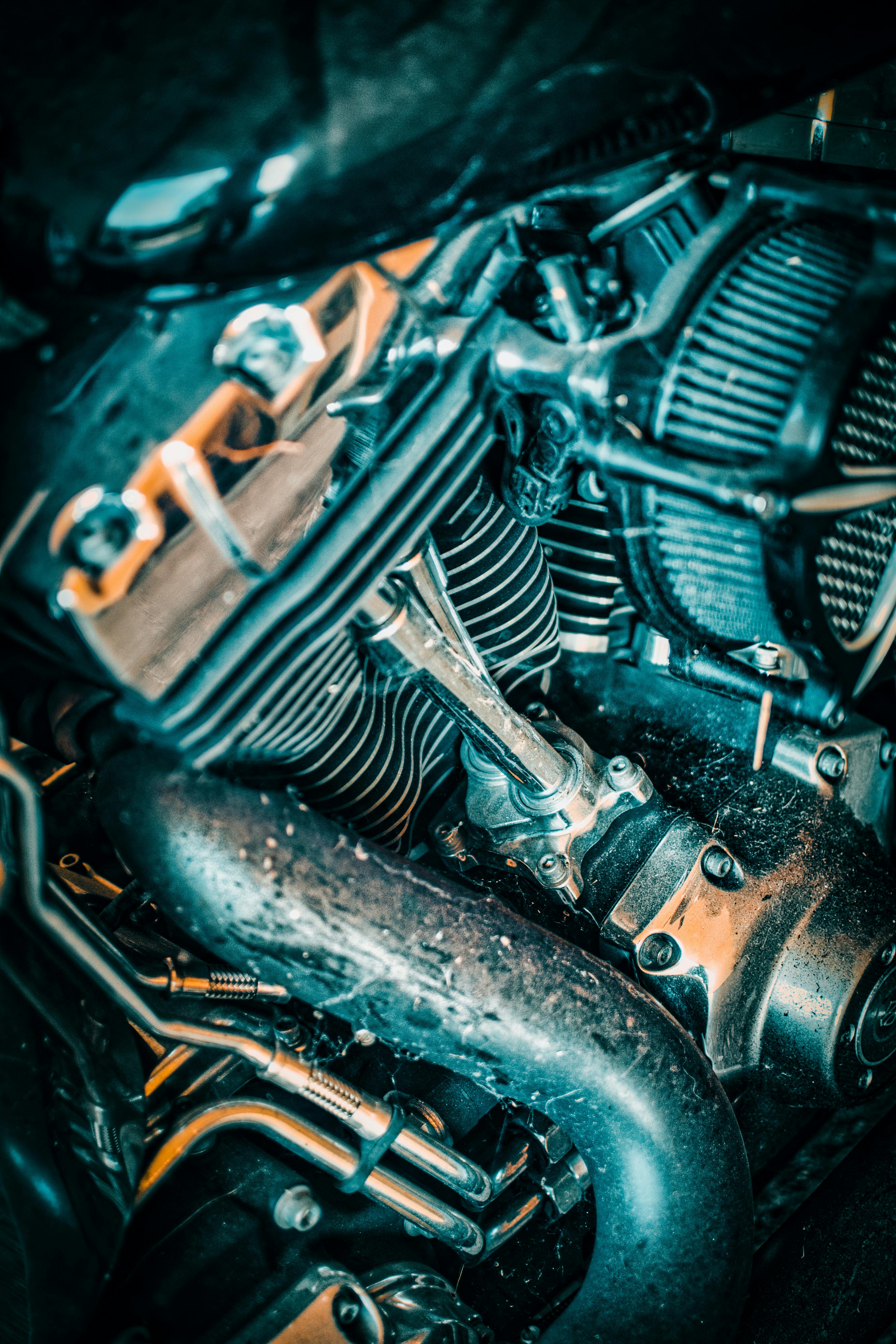 Pet Hair & Odor Removal