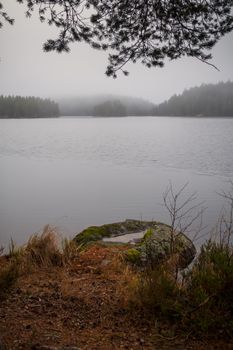 Serene foggy lake surrounded by trees in an autumn woodland setting, perfect for relaxation.
