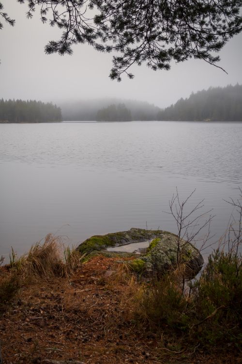 Free Serene foggy lake surrounded by trees in an autumn woodland setting, perfect for relaxation. Stock Photo