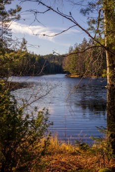 Tranquil autumn scene of a forest lake under a clear blue sky, surrounded by colorful trees.