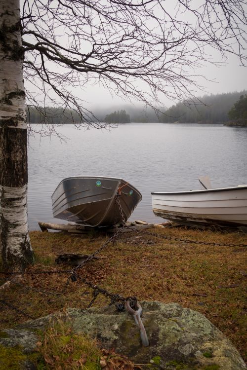 Free Peaceful autumn morning at a misty lake, featuring moored boats and bare birch trees. Stock Photo