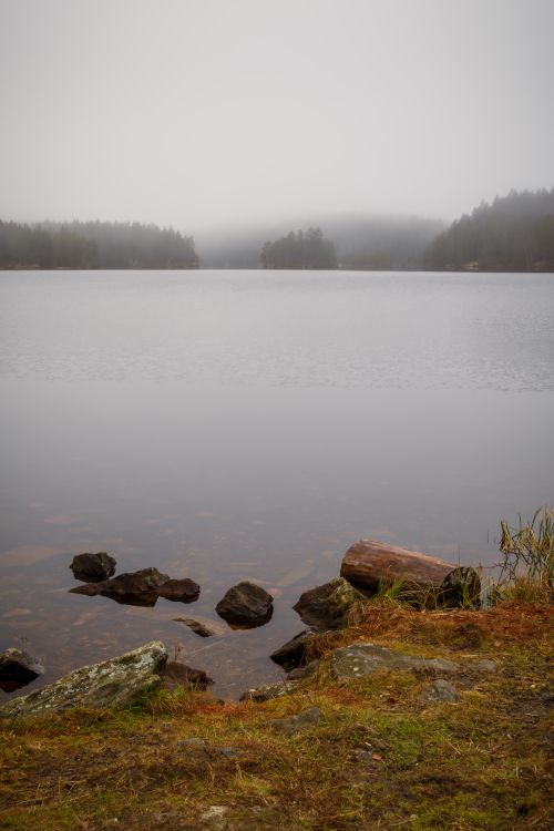 Free Serene foggy lake landscape with autumn hues, rocks, and forested shoreline. Peaceful and atmospheric. Stock Photo