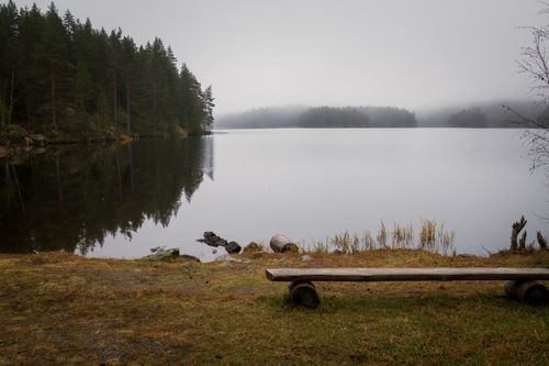 Free Serene misty autumn landscape with forest reflection in a calm lake and a lonely bench. Stock Photo