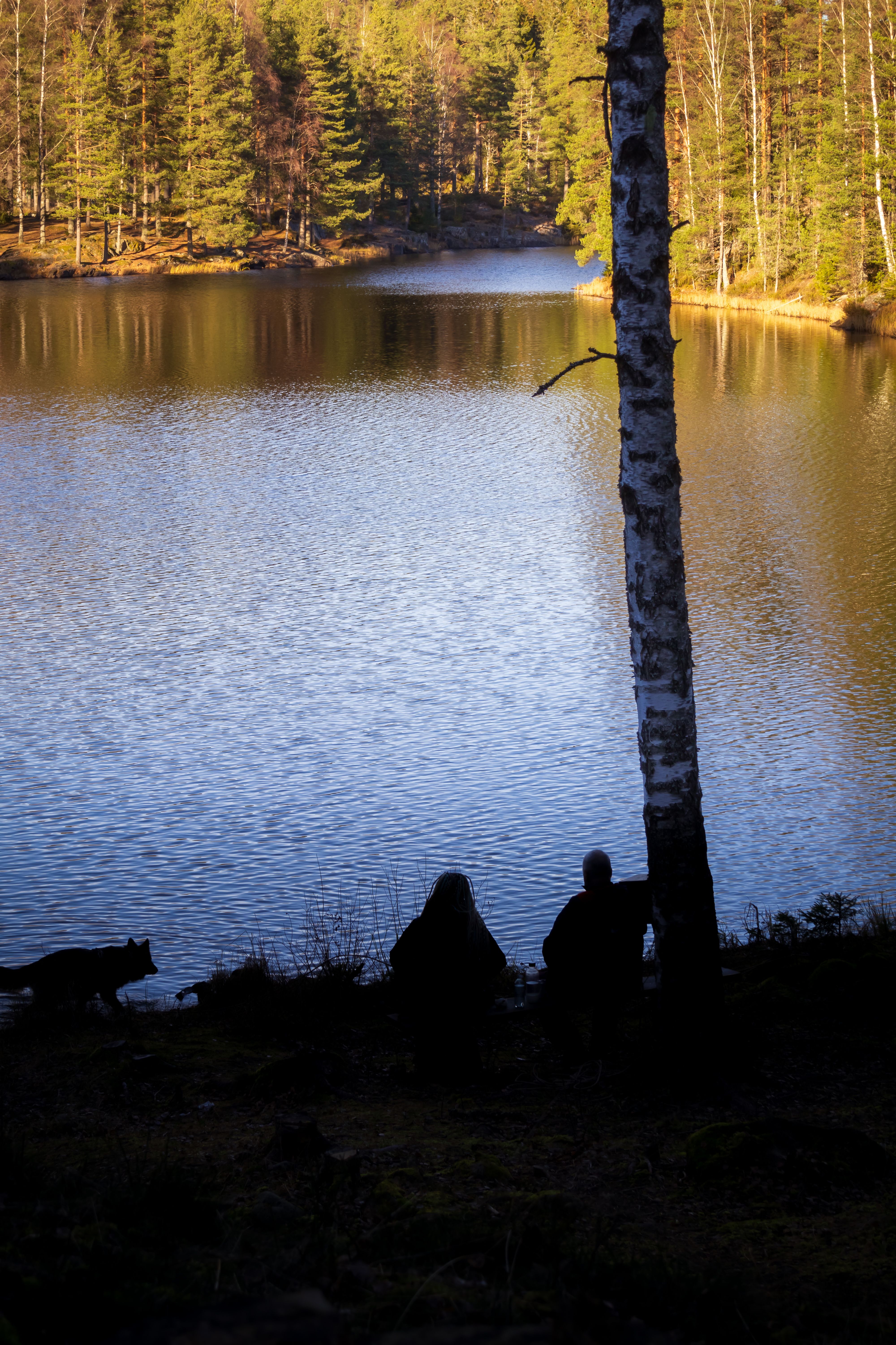 Serene Lake with Silhouetted Figures in Autumn · Free Stock Photo