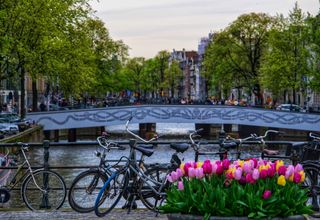 Scenic view of bicycles and vibrant tulips on an Amsterdam canal bridge during spring.