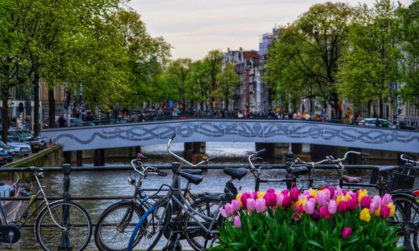 Scenic view of bicycles and vibrant tulips on an Amsterdam canal bridge during spring.