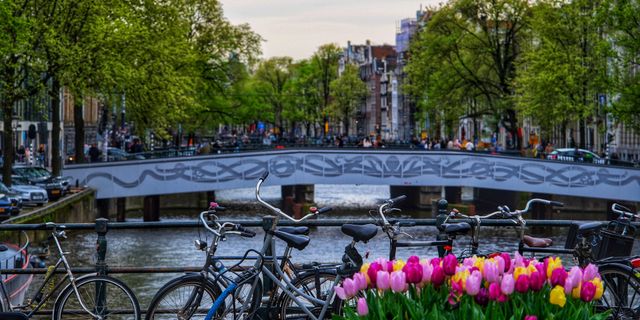 Scenic view of bicycles and vibrant tulips on an Amsterdam canal bridge during spring.