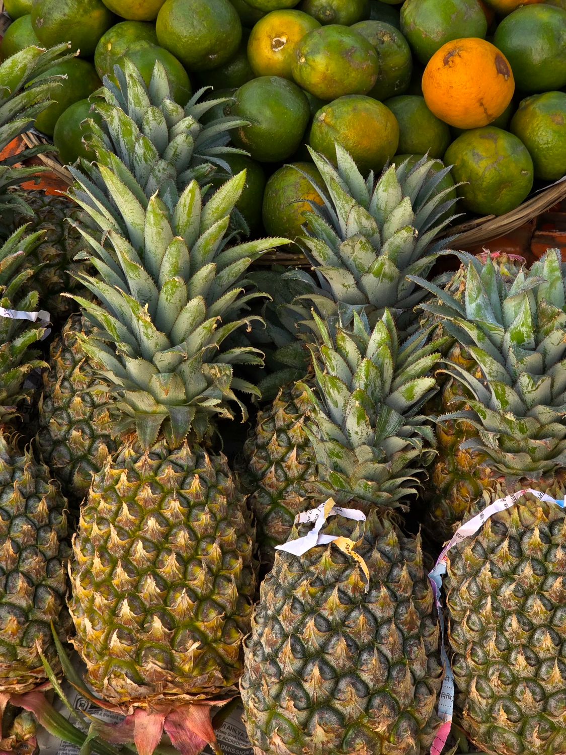 Piñas Frescas Y Frutas Cítricas De Bhopal · Foto de stock gratuita