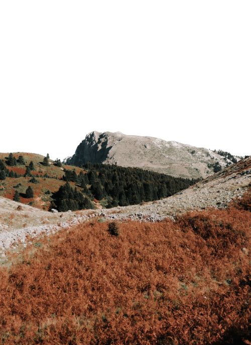 Free Beautiful autumn landscape featuring mountains and forests under a clear sky. Stock Photo