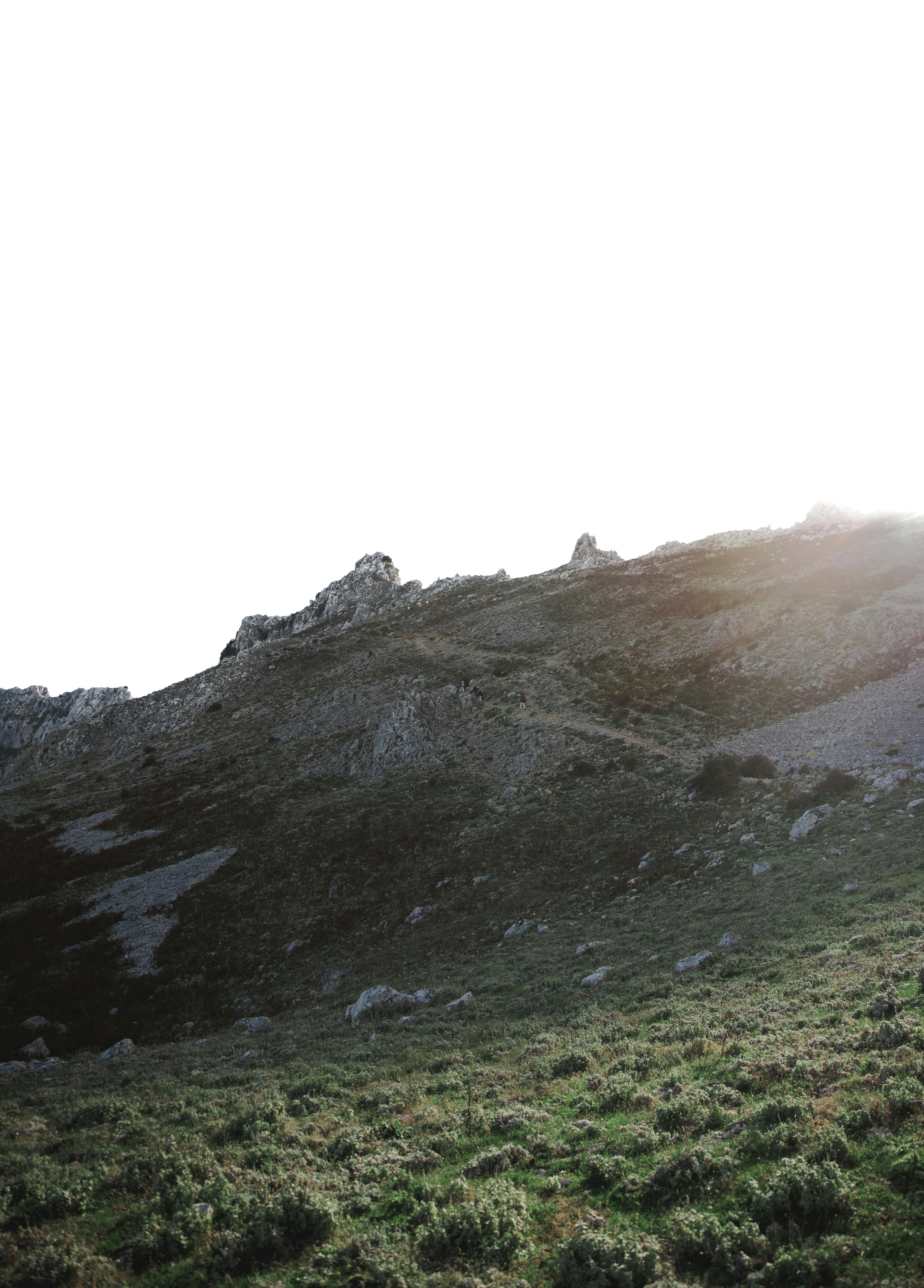 Peaceful mountain slope with soft sunlight and green grass.