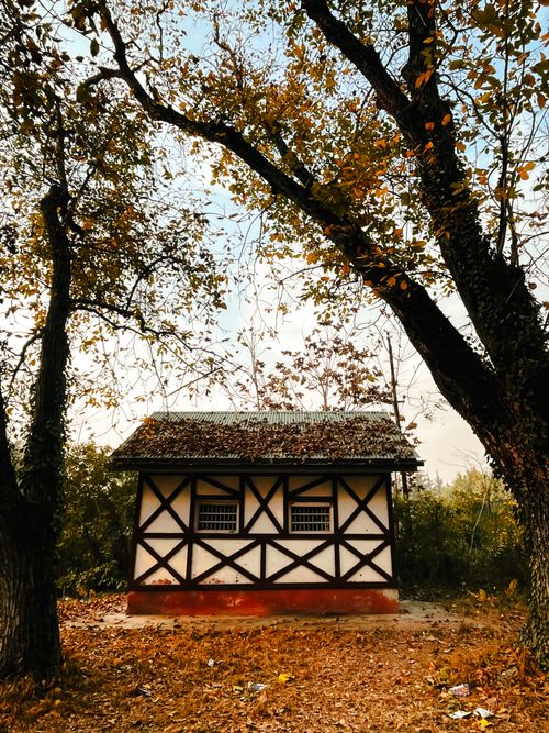 Free Explore a quaint rustic cabin surrounded by vibrant autumn foliage in a serene forest setting. Stock Photo