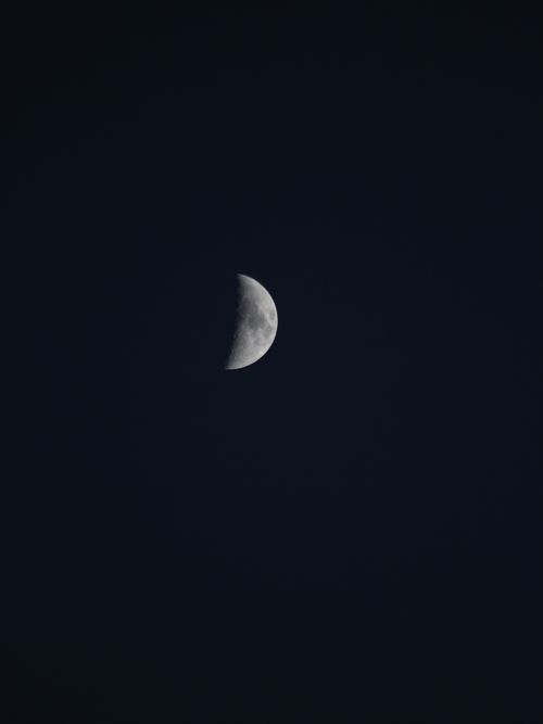Free Captivating view of the half moon shining against a deep dark night sky. Stock Photo