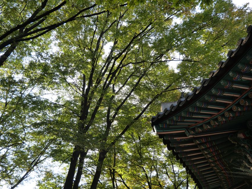 밤알바
