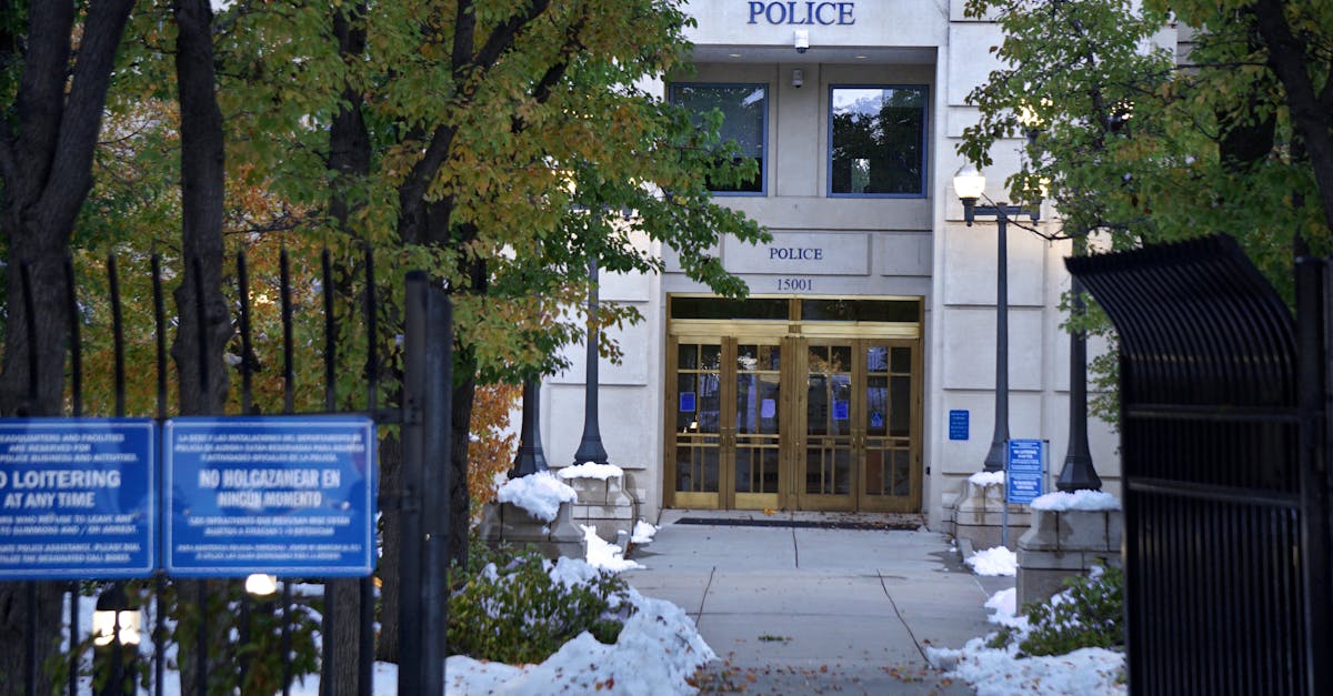 國際:高雄市立場保守影響政策走向,經濟發展面臨挑戰