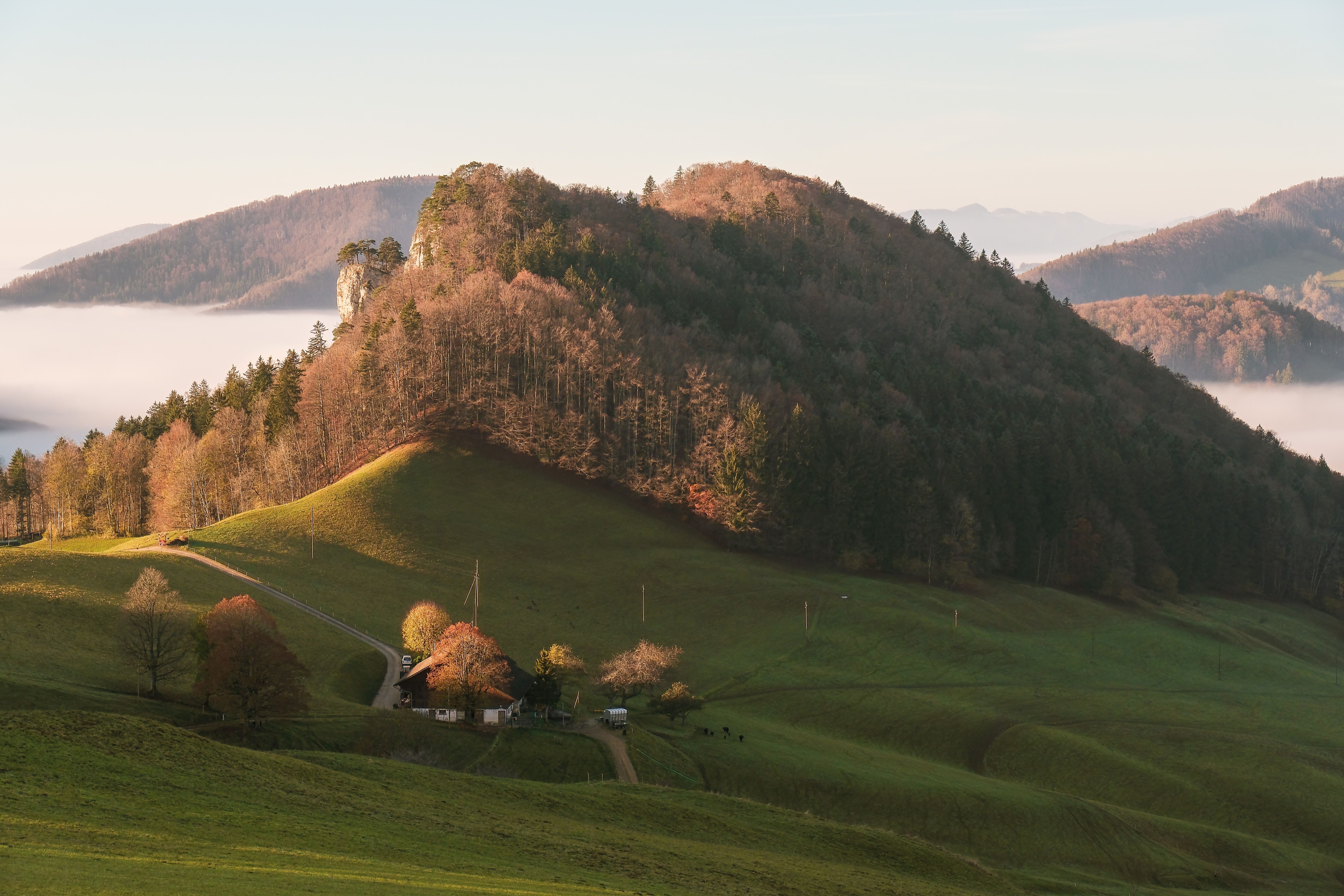 Idyllic Hillside Autumn Scene with Misty Background · Free Stock Photo