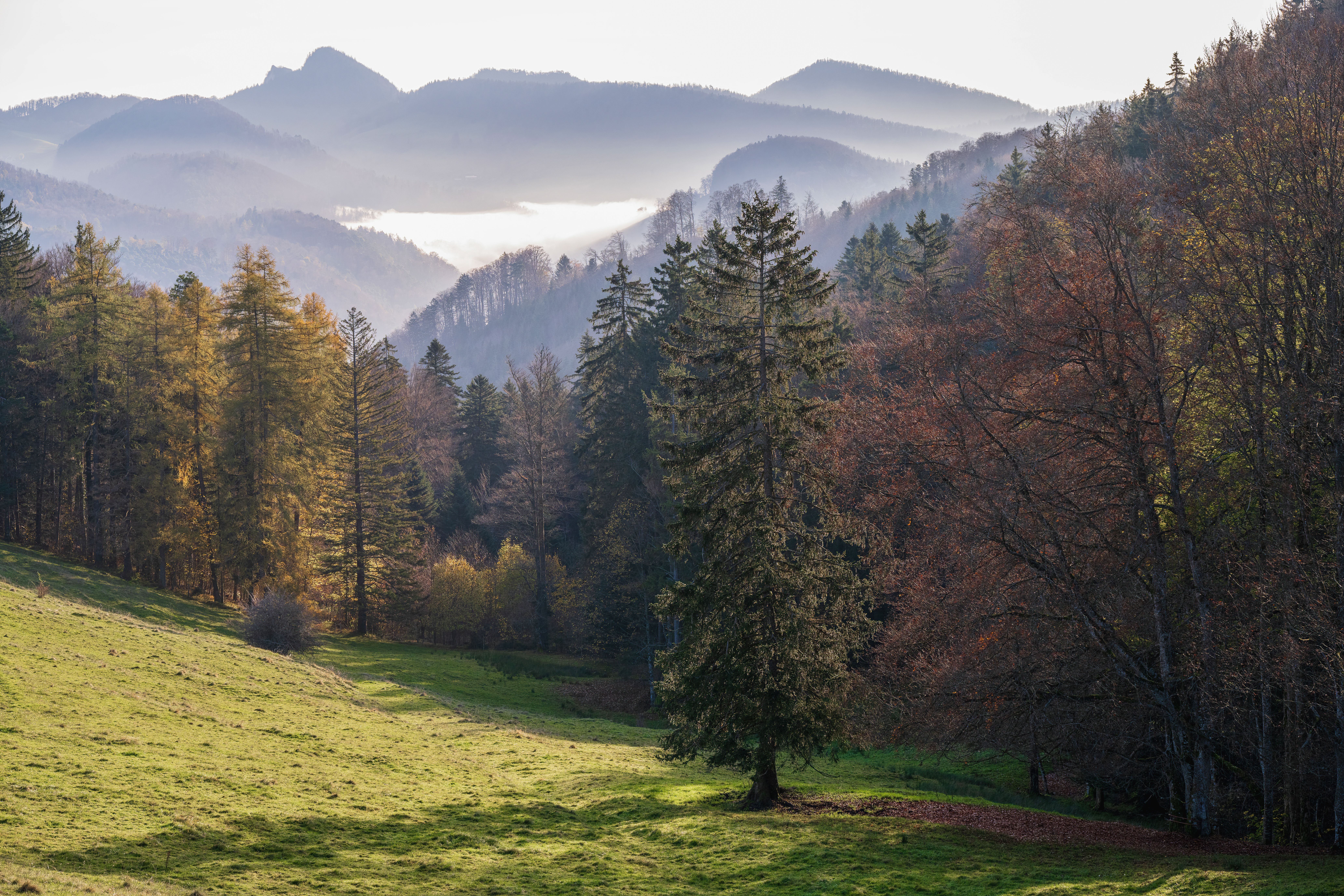 Scenic Mountain Landscape with Misty Hills · Free Stock Photo