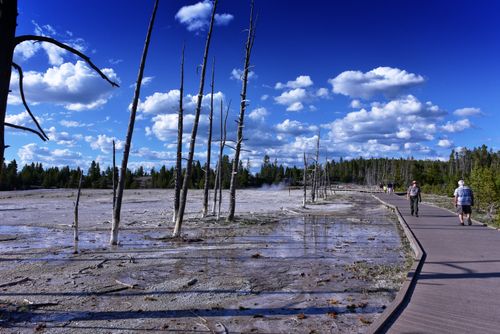 Free Visitors enjoy a scenic walk alongside geothermal features in Yellowstone. Stock Photo