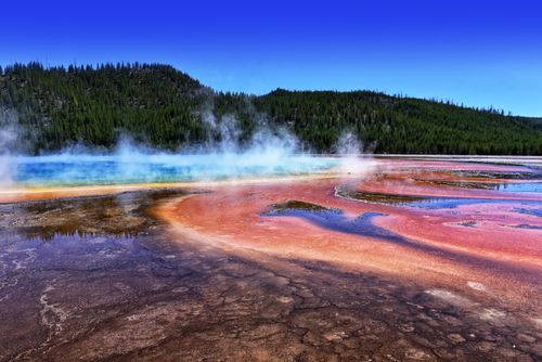 Free Vibrant colors and steaming hot springs at Grand Prismatic Spring, Yellowstone. Stock Photo