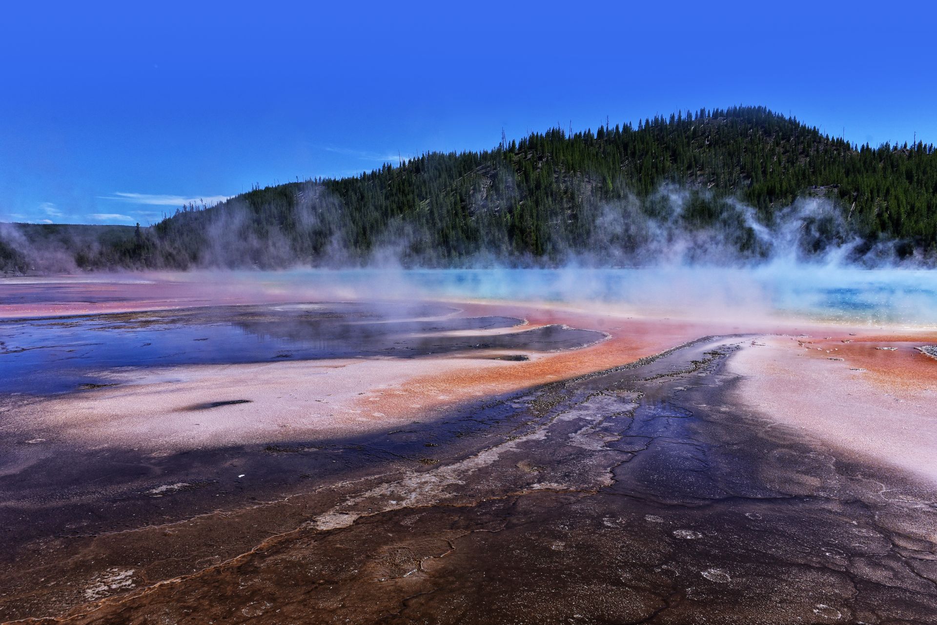Stunning view of the Grand Prismatic Spring, showcasing vibrant colors and geothermal activity in Yellowstone.
