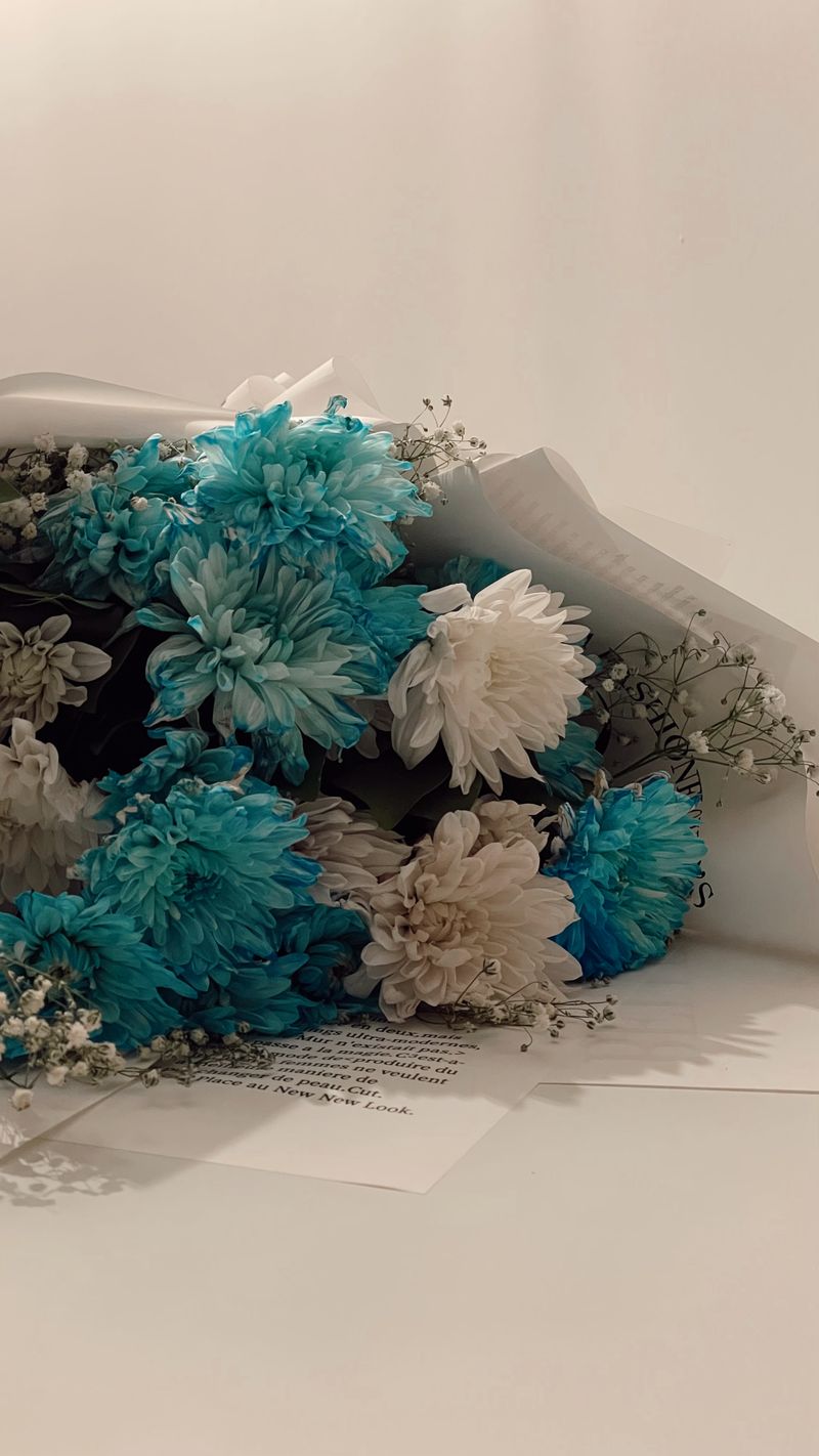 Sitemapcdatahttpsshopinf Inetcomphoto Aesthetic Bleu