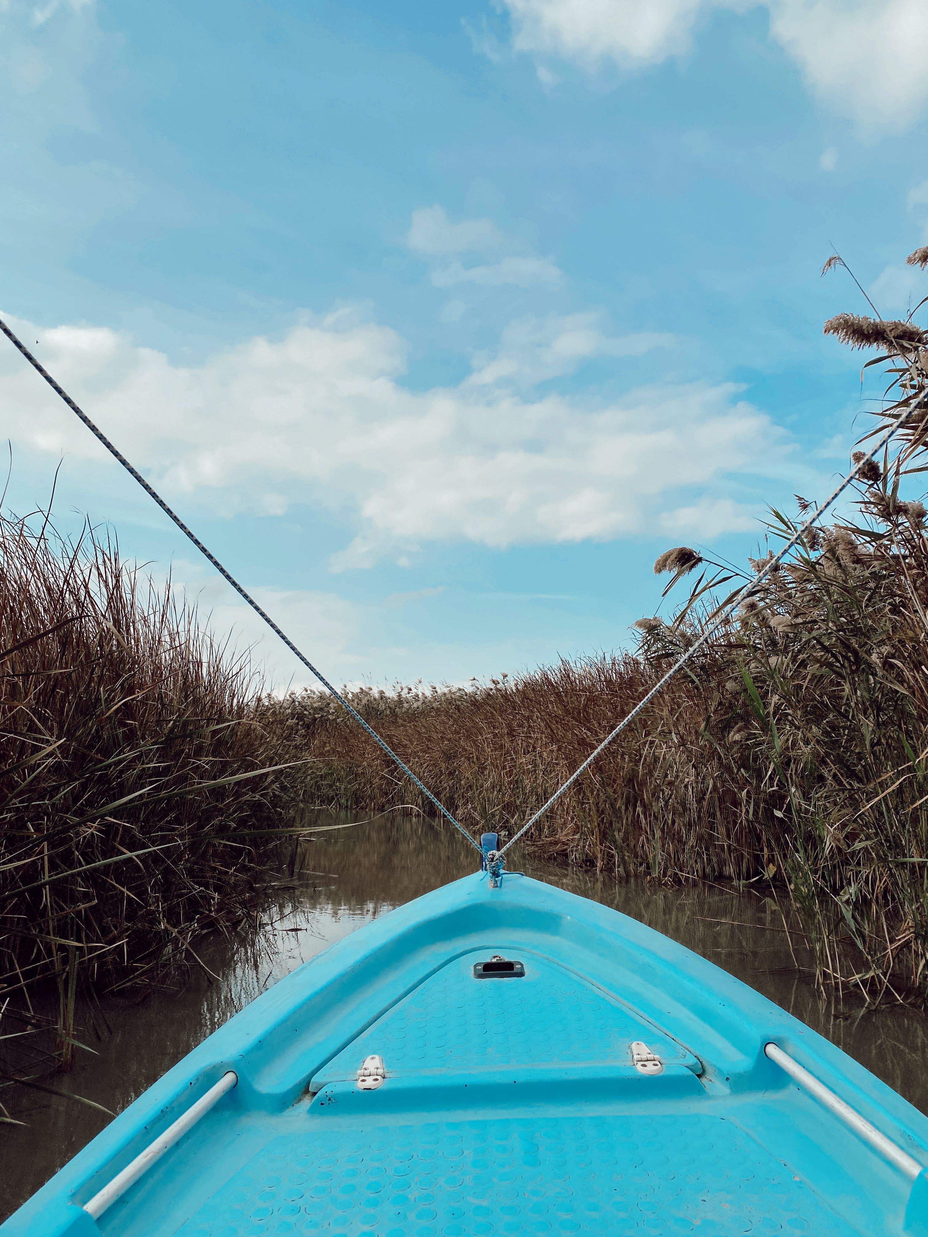 Ria Kayaking