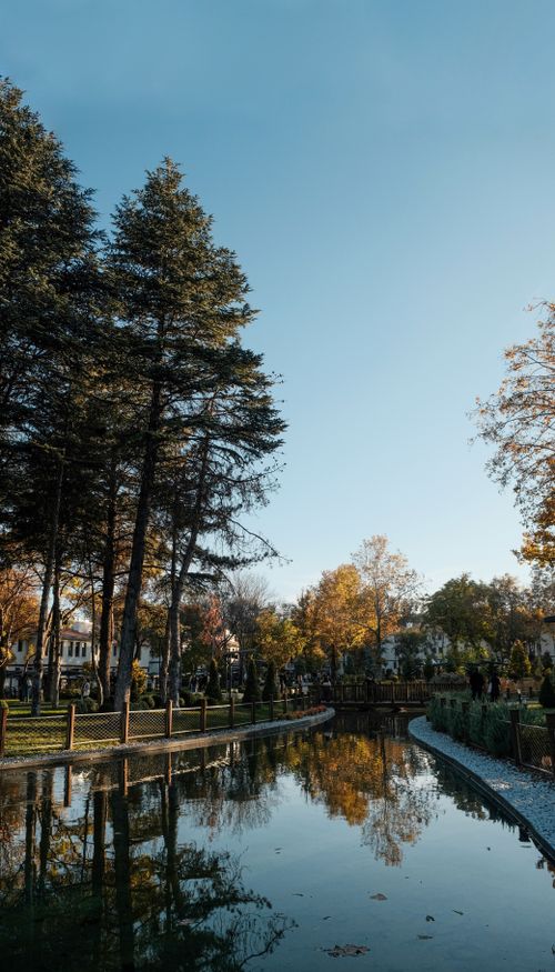 Free A tranquil park scene with trees reflecting on a calm pond under a clear sky. Stock Photo