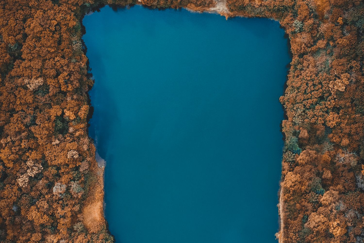 4k Wallpaper Portrait Photos Download The BEST Free 4k Wallpaper 4k-wallpaper-portrait-photos-download-the-best-free-4k-wallpaper