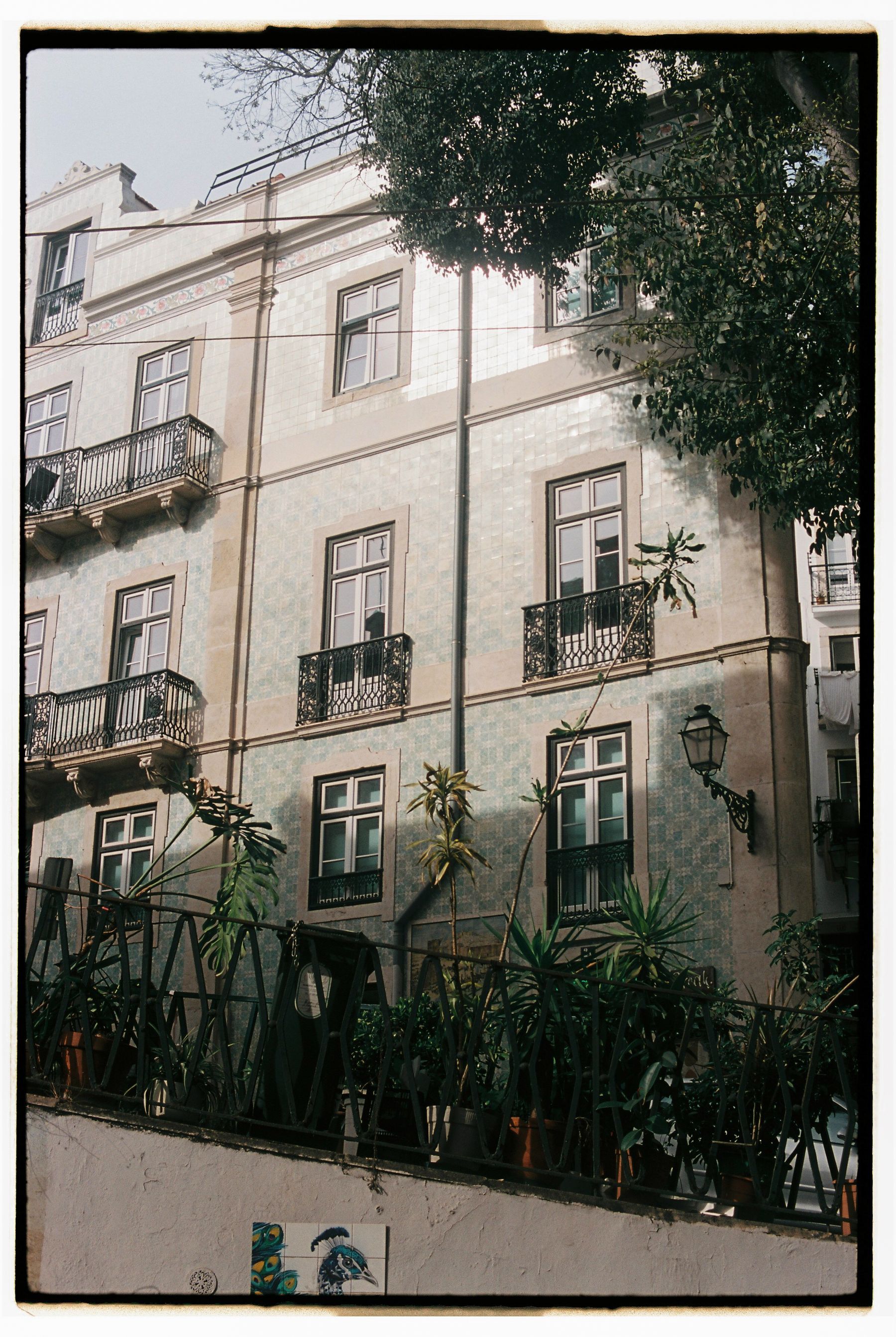 Fachada lisboeta revestida a azulejo, com varandas e vegetação